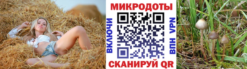 Псилоцибиновые грибы Magic Shrooms  Купить где  Канск 
