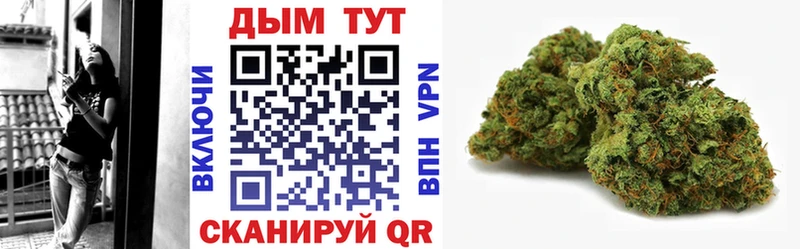 Бошки марихуана OG Kush  Купить где  Канск 